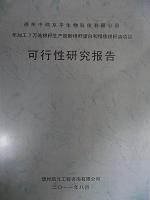 臨夏項目可行性研究報告編寫
