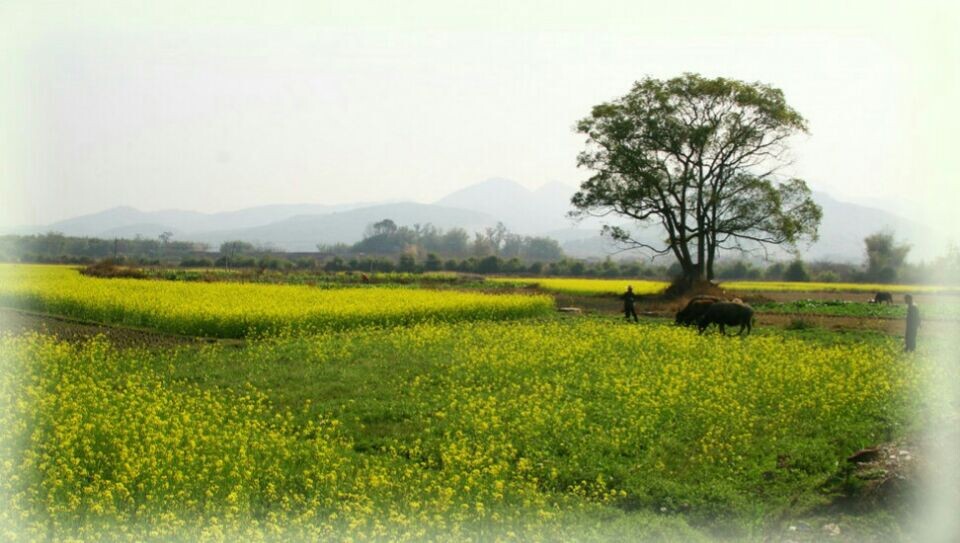 Spring·与春相约，赶走春困