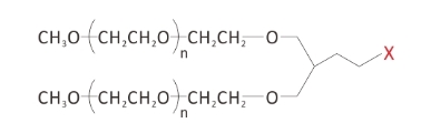 口碑好的八臂聚乙二醇,多样化的官能化多臂聚乙二醇哪里做得好