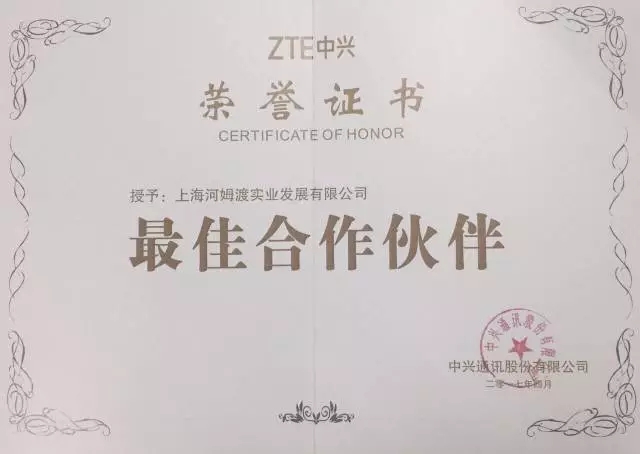 中興通訊授予河姆渡{zj0}合作伙伴獎