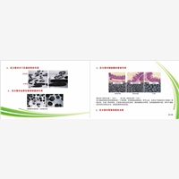 綠盟中科，專注高品質(zhì)活力素，生物科技生產(chǎn)