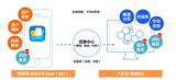 雷州猪哥科技aso源头价格/价格