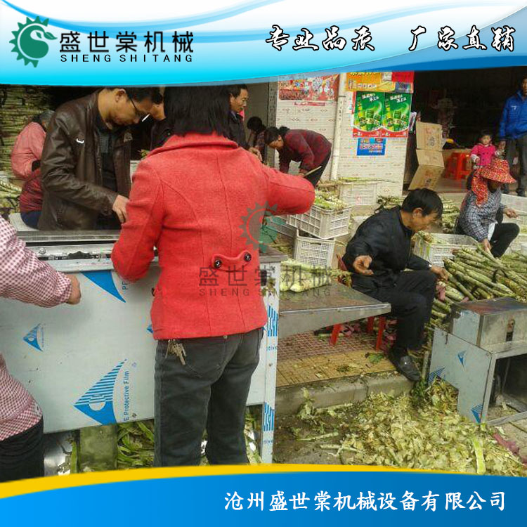 萵筍削皮機 萵筍加工設備2017款