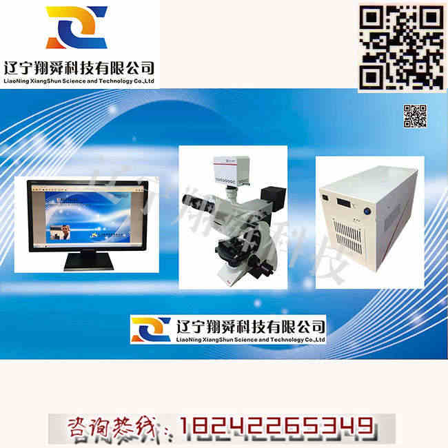 全自动数字焦炭显微分析-焦炭显微分析全自动数字