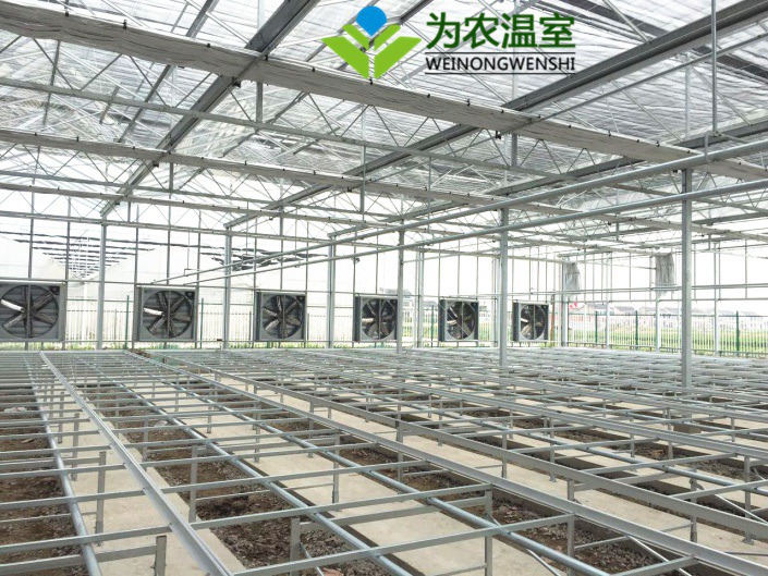 龙岩玻璃大棚