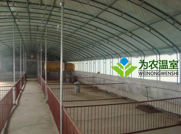 句容建养猪大棚多少钱
