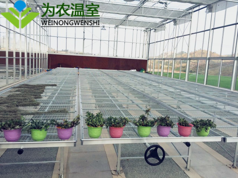 东阳建花卉温室大棚费用