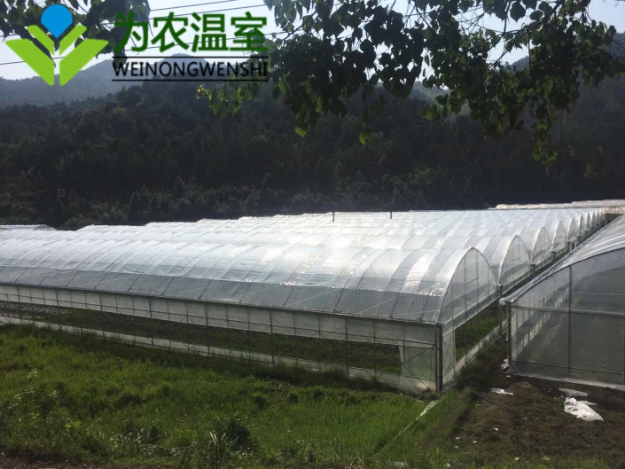 马鞍山薄膜连栋温室