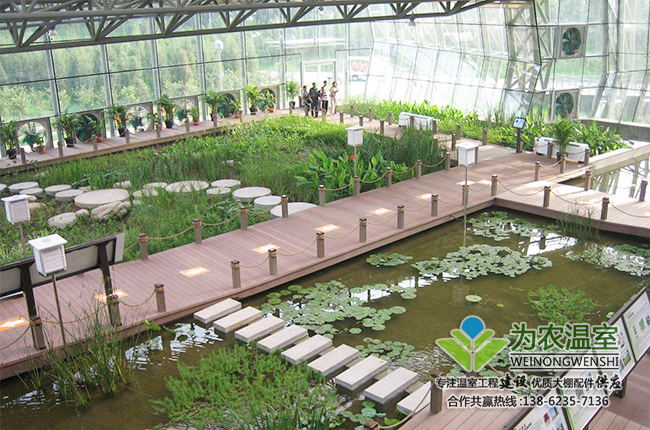 天长建设生态温室哪家公司好