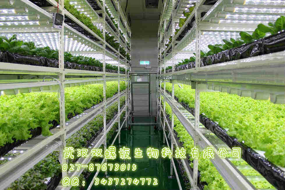 密闭式植物工厂 家庭型植物工厂 人工光植物工厂