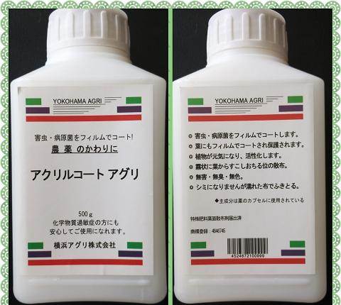 白粉虱的防治_白粉虱防治方案-君美空气隔离膜