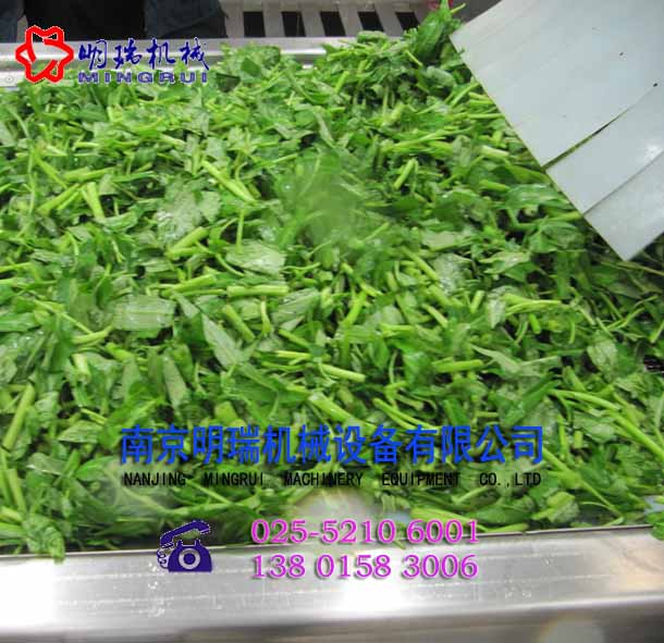 凈菜清洗機(jī)械設(shè)備原始圖片2
