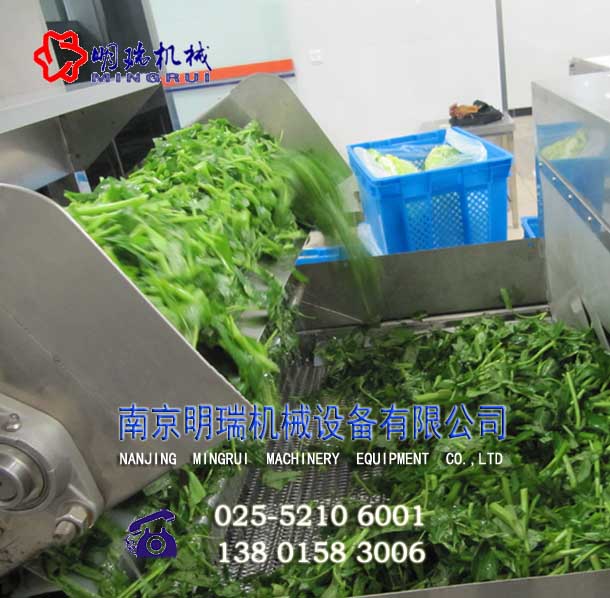 凈菜清洗機(jī)械設(shè)備原始圖片3