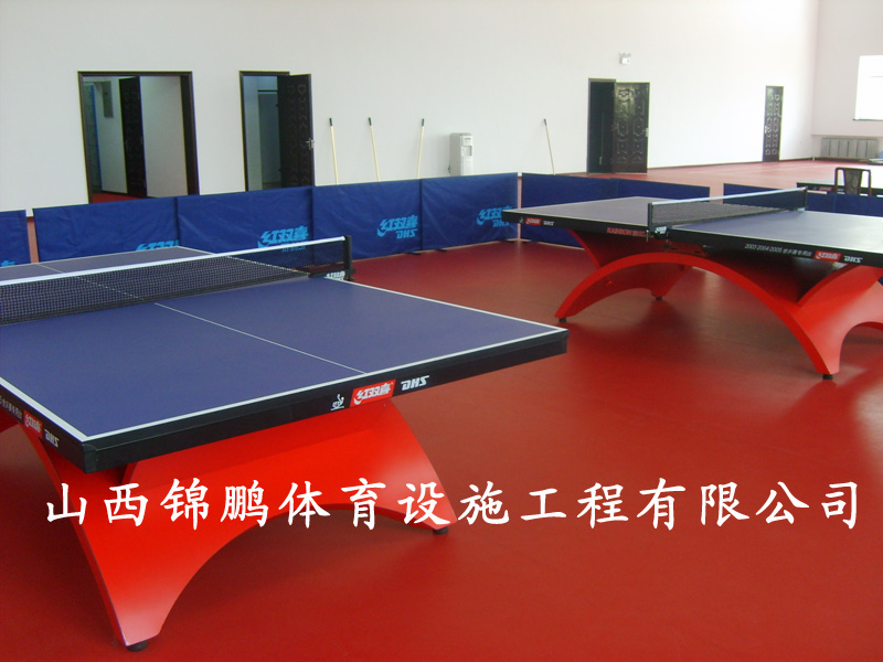 2019新款拼裝地板 幼兒園 球場(chǎng)專用 環(huán)保耐用