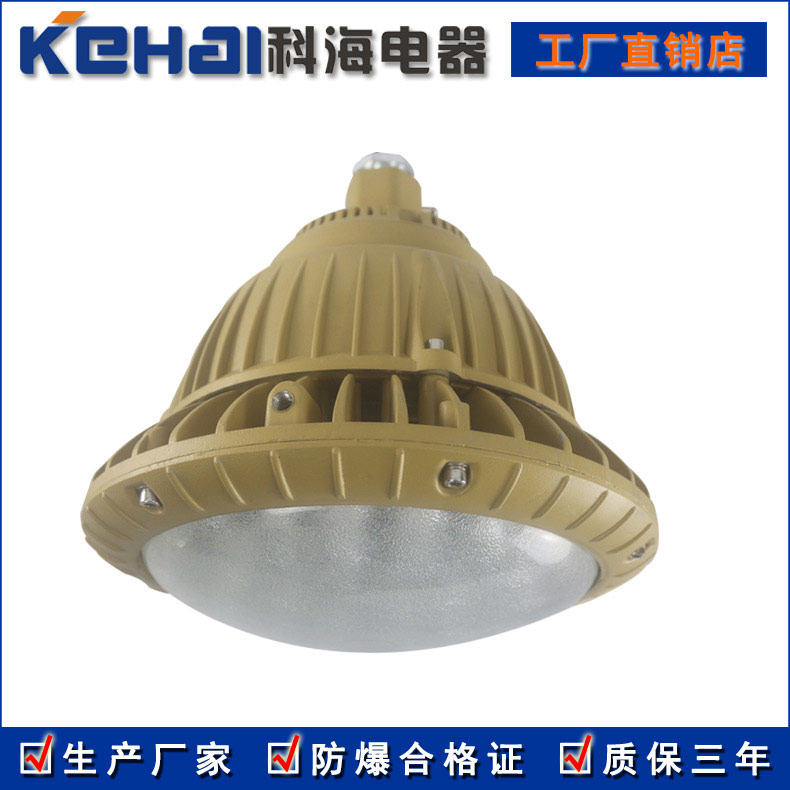 特價供應(yīng)BAD85-M防爆{gx}節(jié)能LED燈 60W/80W/100W原始圖片2