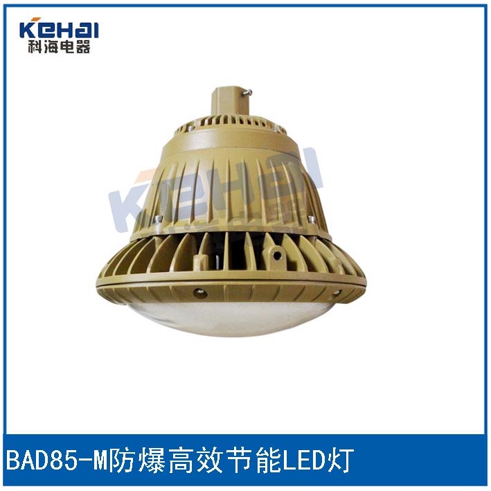 BAD85-M100W防爆{gx}節(jié)能LED燈原始圖片3