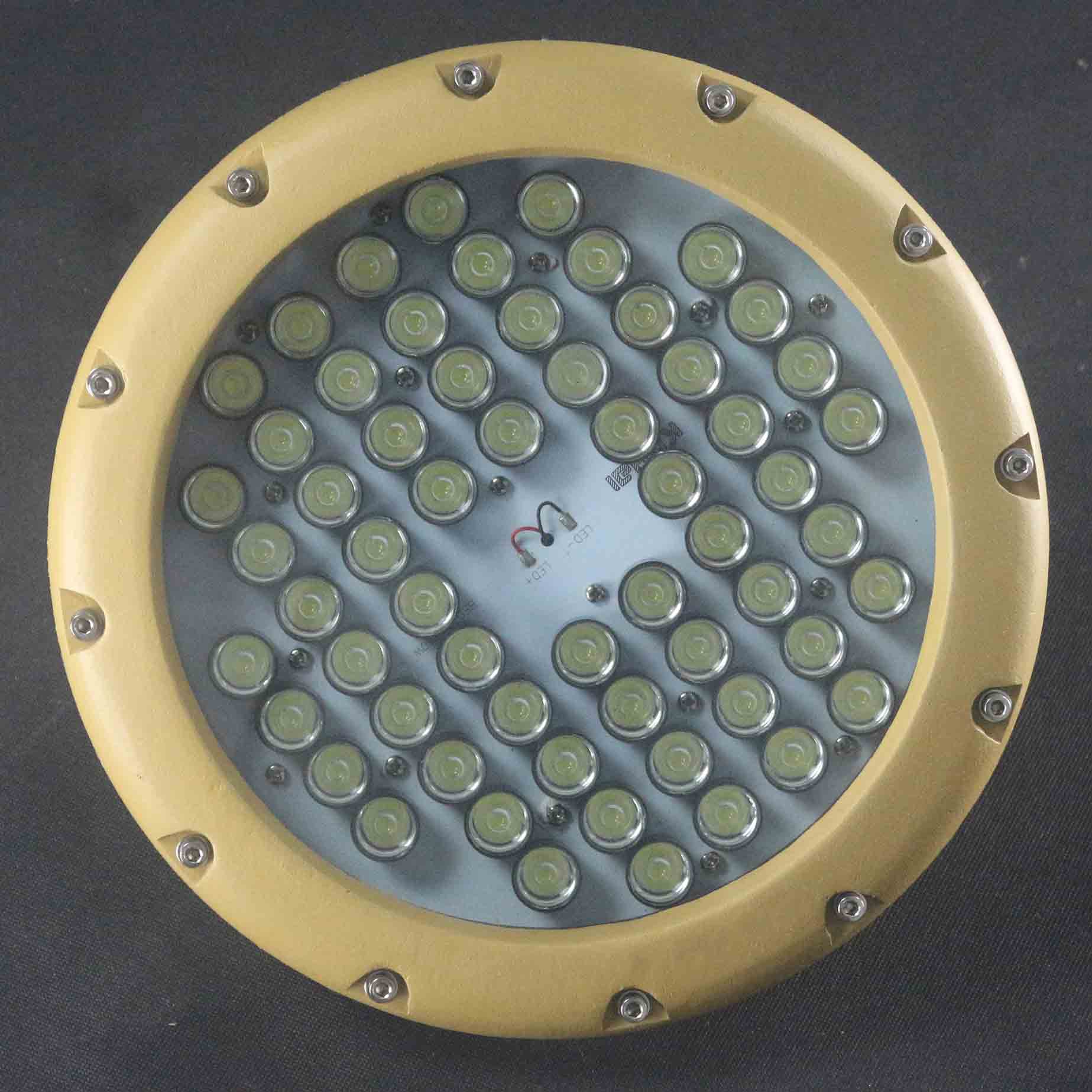 廠家供應【圓形LED防爆燈】 60W 80W 100W原始圖片2
