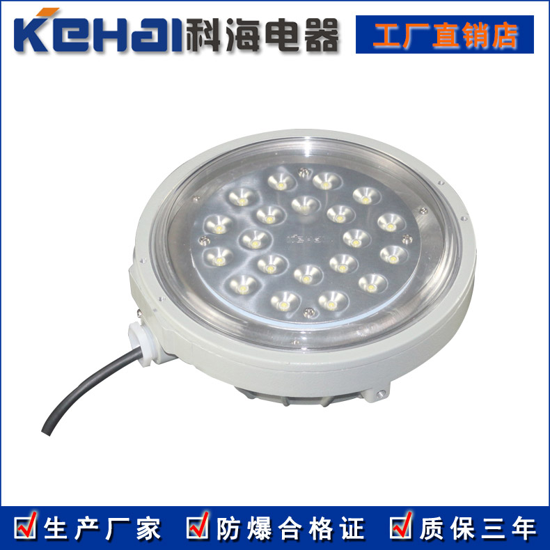 BXL吸頂式LED防爆燈原始圖片2