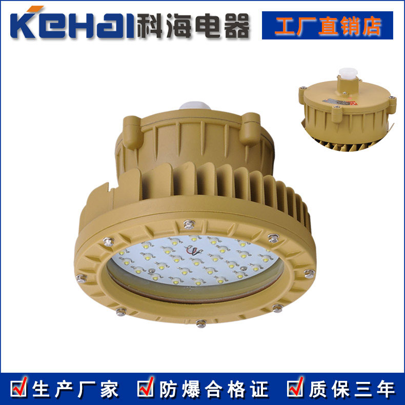 BXL吸頂式LED防爆燈原始圖片3