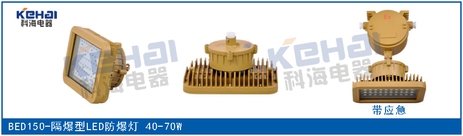 BED150隔爆型LED防爆投光燈 50W 70W原始圖片3