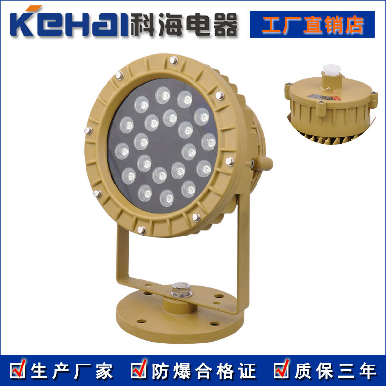 BED150隔爆型LED防爆投光燈 50W 70W