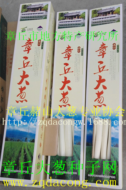 山東大蔥種植技術(shù)  章丘大蔥種植新技術(shù) 纏線直播大蔥種子