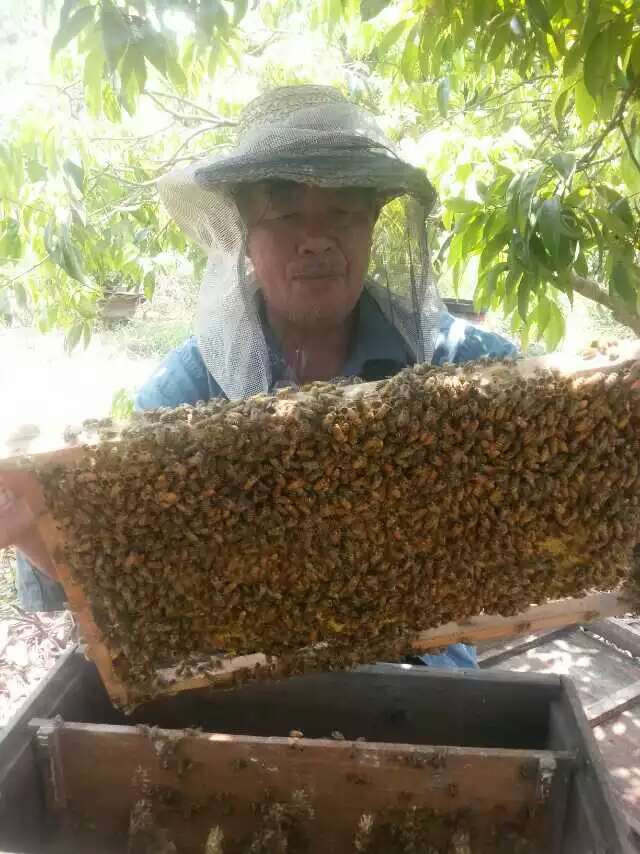 桂平深山純正蜂蜜原始圖片2