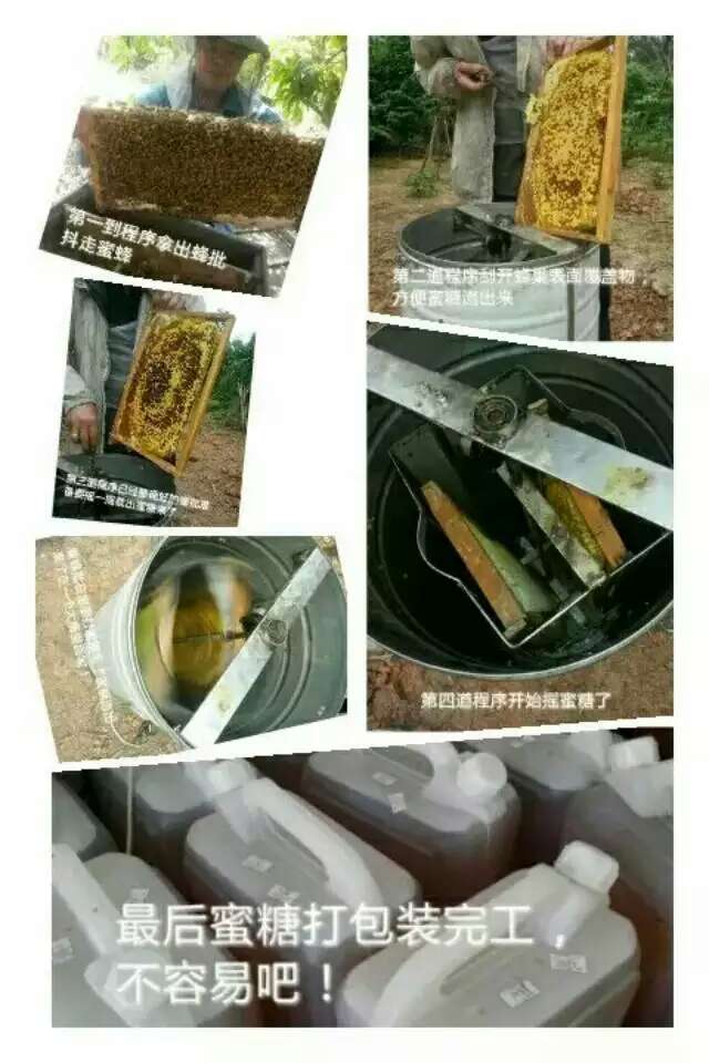 桂平深山純正蜂蜜