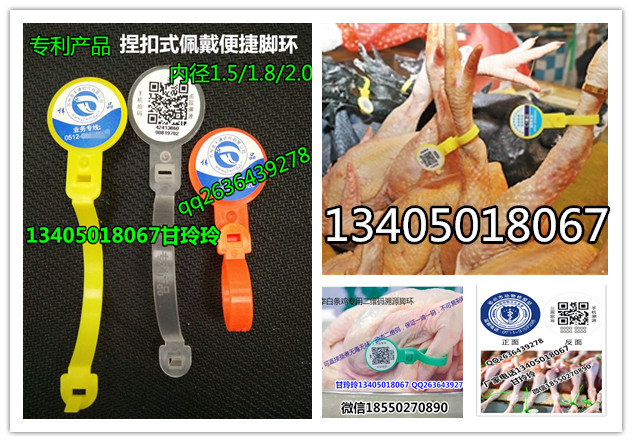 水產防偽吊牌二維碼溯源標簽-魚吊牌標志甲魚吊牌批發