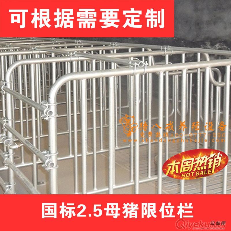 重慶母豬限位欄廠家直銷 豬用定位欄 限位欄 豬八戒養殖設備母豬限位欄