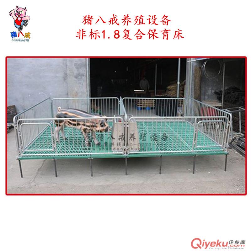 供應仔豬保育床 豬八戒養殖設備復合仔豬保育床 小豬保育床廠家直銷