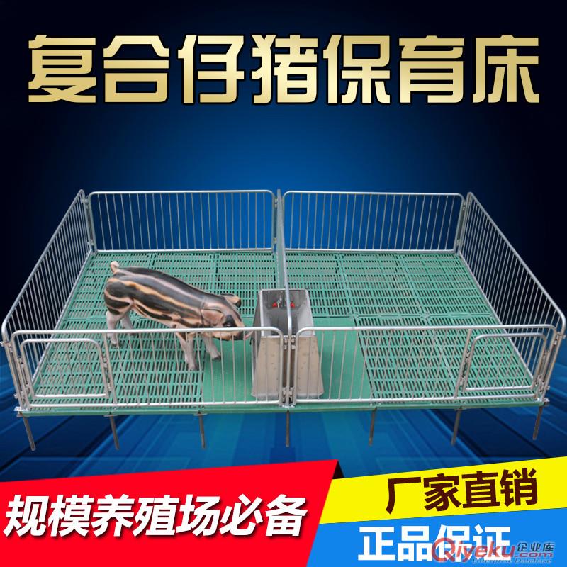 供應仔豬保育床 豬八戒養殖設備復合仔豬保育床 小豬保育床廠家直銷