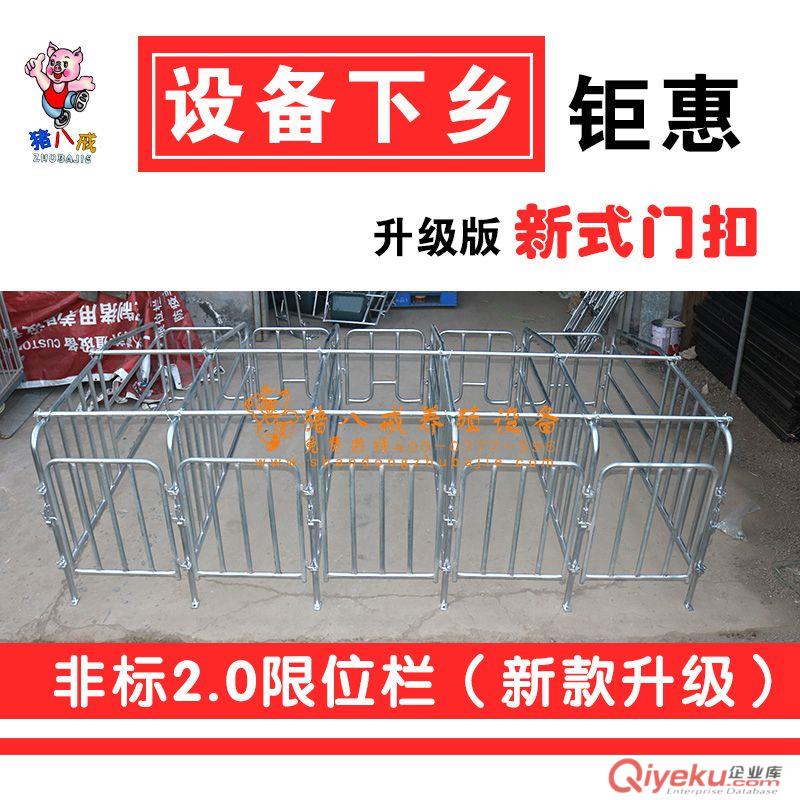 新疆母豬限位欄 非標(biāo)2.0母豬限位欄廠家直銷 母豬定位欄質(zhì)量優(yōu) 豬用限位欄耐用