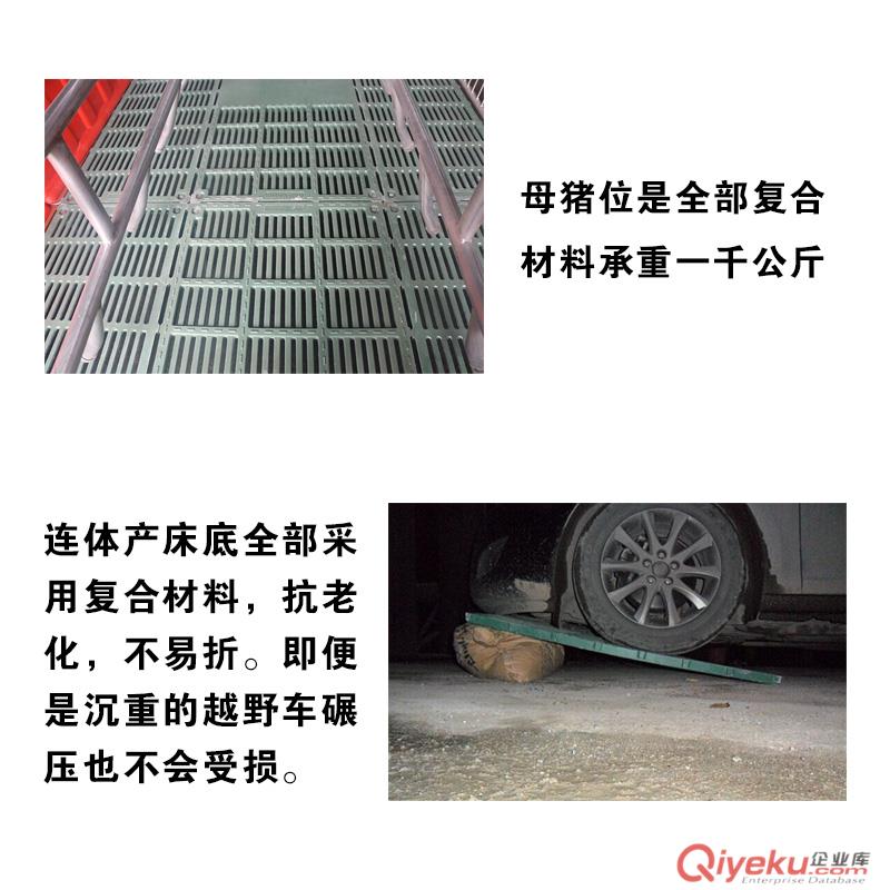 海南供應(yīng)復(fù)合母豬產(chǎn)床 豬八戒養(yǎng)殖設(shè)備復(fù)合母豬產(chǎn)床廠家直銷 豬用產(chǎn)床海南