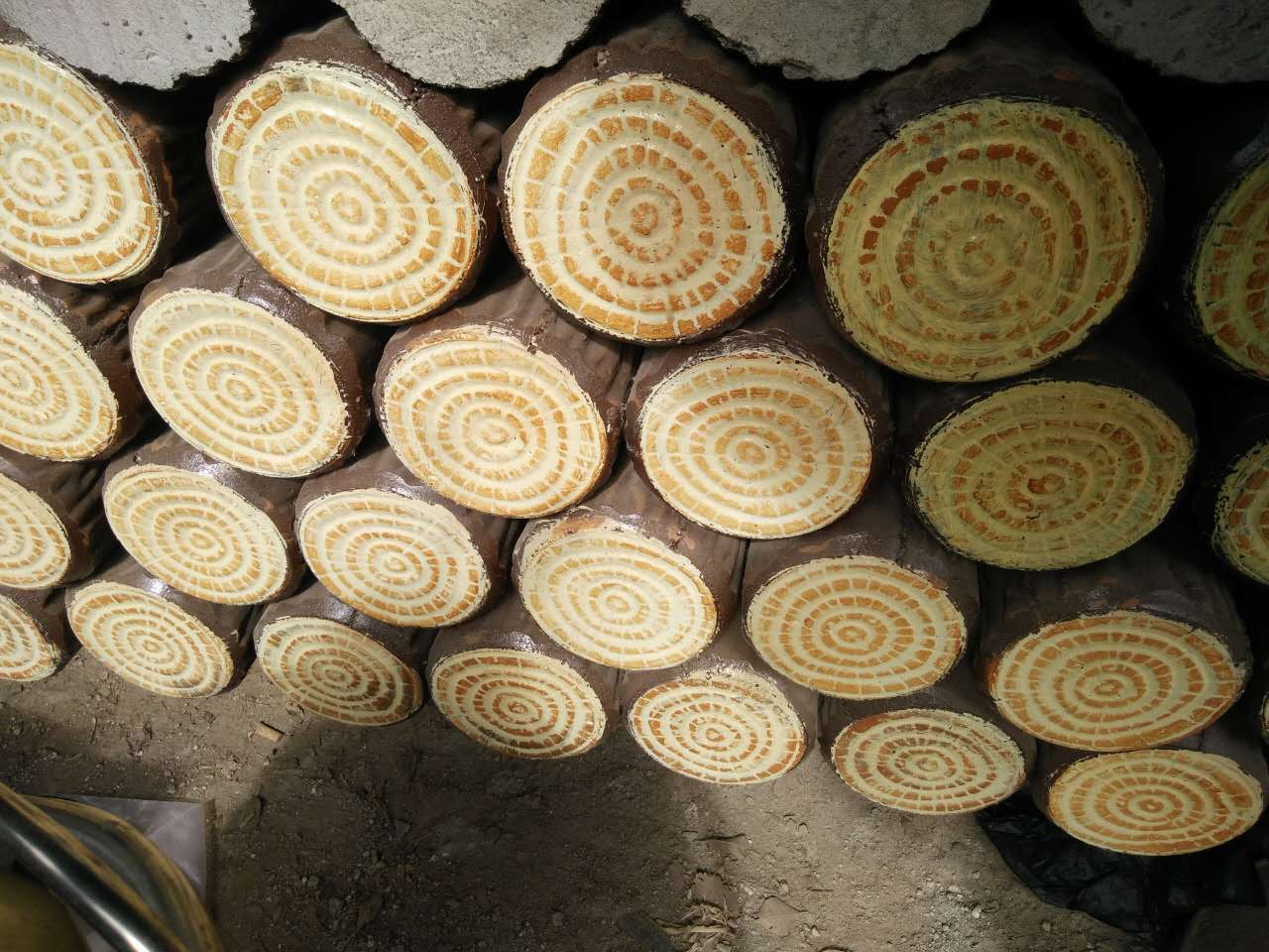 仿木樹(shù)樁,水泥仿木樹(shù)墩原始圖片2