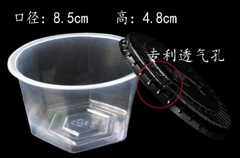 透明六角蚯蚓盒-廣漢泰威塑料制品公司