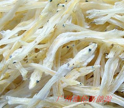 遼寧小銀魚烘干 大連小銀魚干燥 水產(chǎn)品烘干機