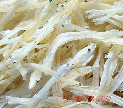 浙江杭州小銀魚烘干 小銀魚干燥 水產品烘干機