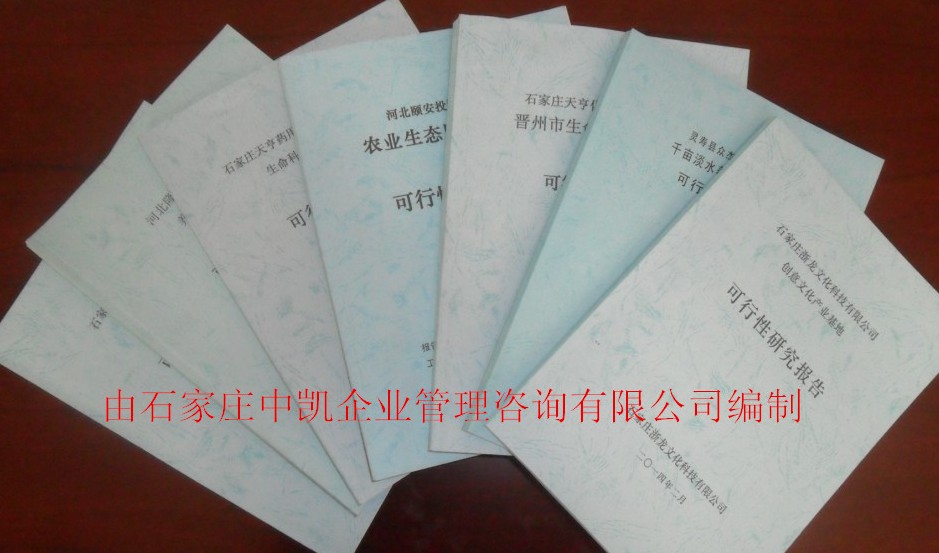 石家莊正定代寫節能評估報告原始圖片2