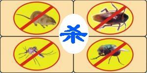 滅鼠殺蟲_滅鼠殺蟲，南寧滅鼠殺蟲除四害滅蟑螂白蟻南寧滅鼠殺蟲除四害滅蟑螂白蟻_滅鼠殺蟲，滅鼠、滅蟑、滅白蟻等除害蟲服務原始圖片3