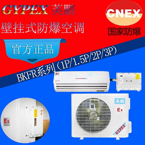 重慶防爆空調(diào)|風(fēng)管式防爆空調(diào)BKFR-3.5原始圖片2