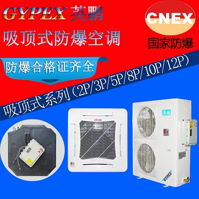 重慶防爆空調(diào)|風(fēng)管式防爆空調(diào)BKFR-3.5原始圖片3