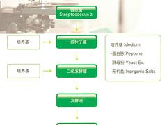 濰坊價位合理的普魯蘭多糖在哪買-濰坊普魯蘭多糖