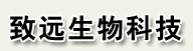 尿激酶。山東致遠(yuǎn)生物科技生產(chǎn)尿激酶，教尿激酶技術(shù)，做尿激酶設(shè)備，技術(shù)先進(jìn)，設(shè)備gd，誠(chéng)招全國(guó)合作加盟