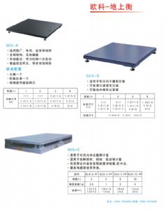 廈門歐科衡器要在哪里可以買到——梅州地上衡廠家