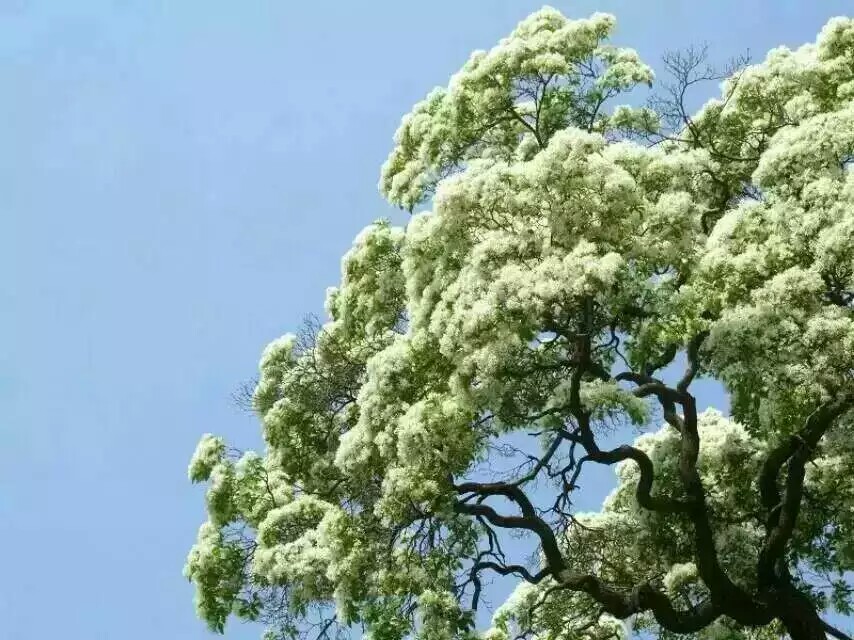 專業、又省錢！泰鑫山莊！【寫生繪畫 攝影采風  寫生基地關鍵詞 關鍵詞 】