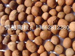 陶粒專業(yè)經(jīng)銷商 陶粒出售