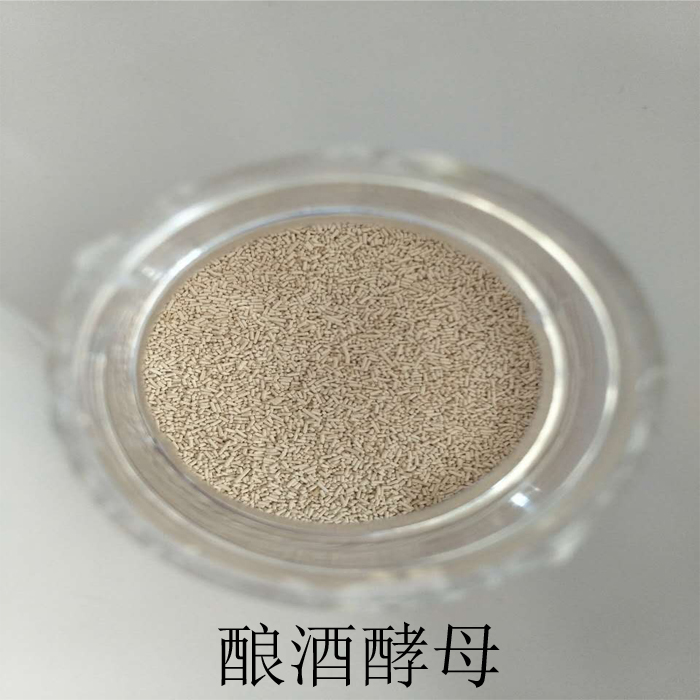 釀酒酵母