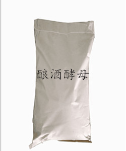 釀酒酵母原始圖片3