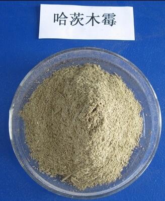 發酵復合菌